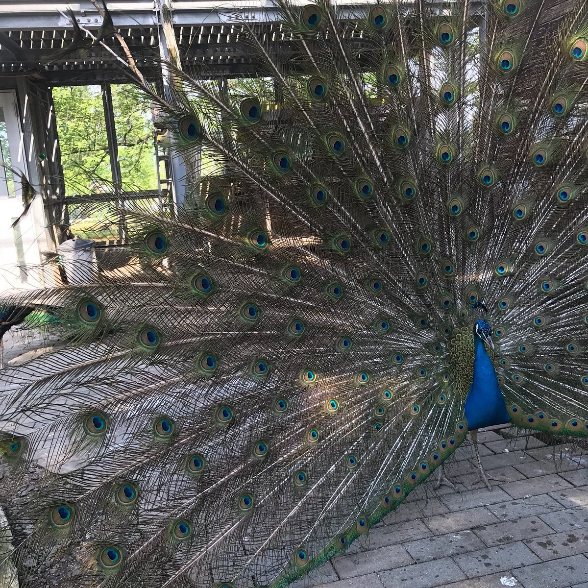 Bosainooka Park cover image