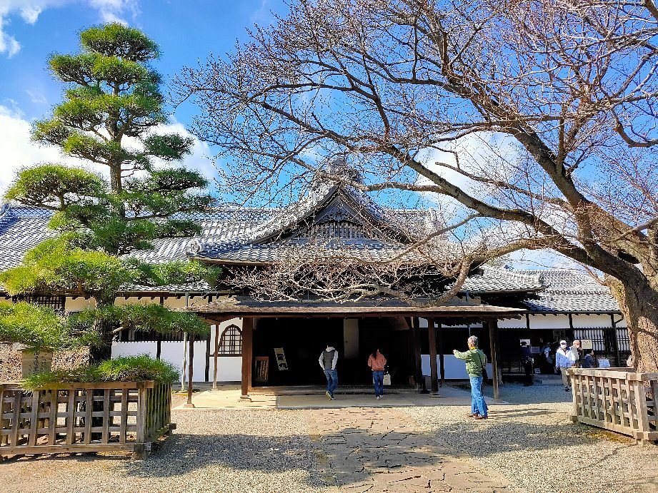 Kodokan Park cover image