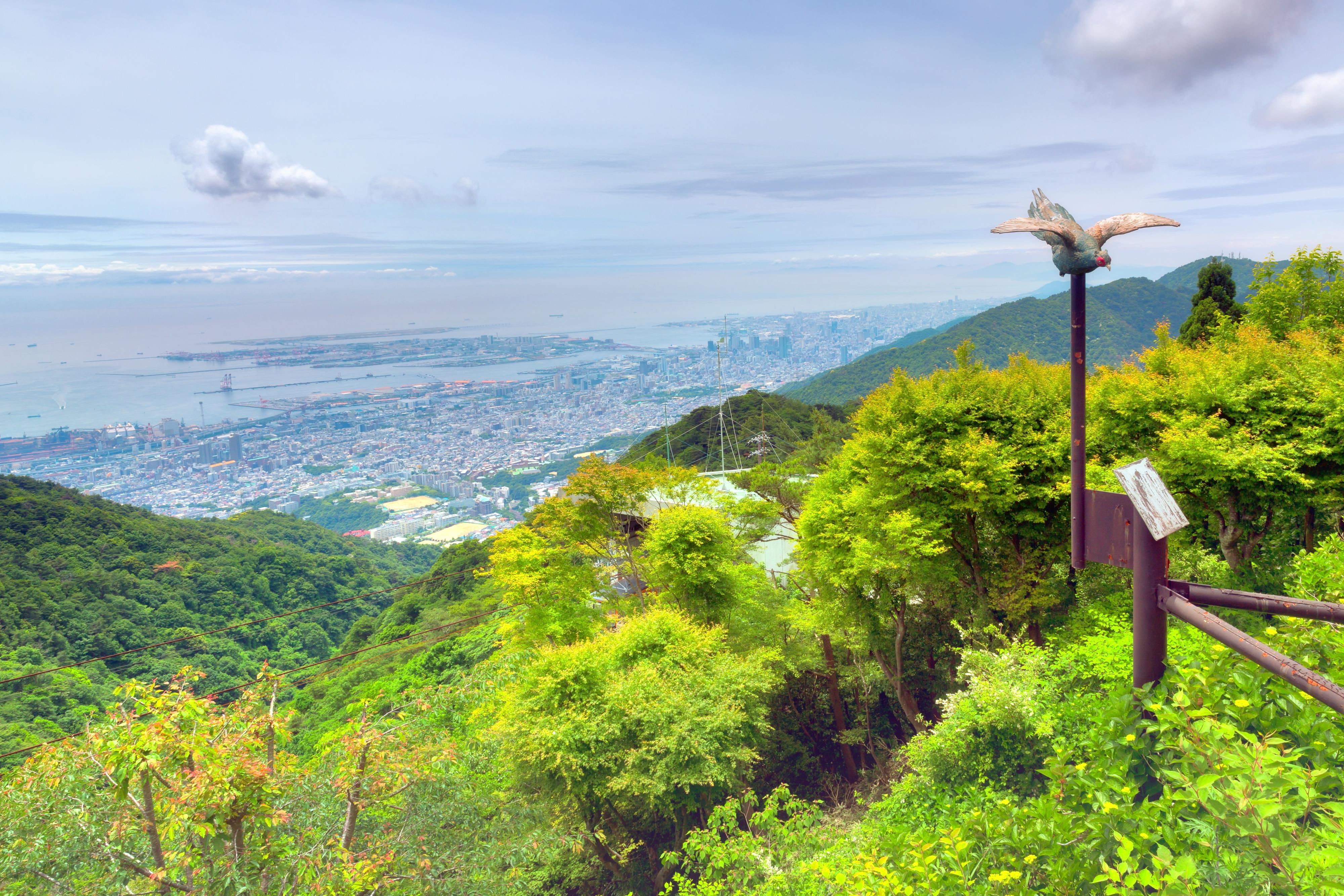 Rokko Shidare Observatory cover image