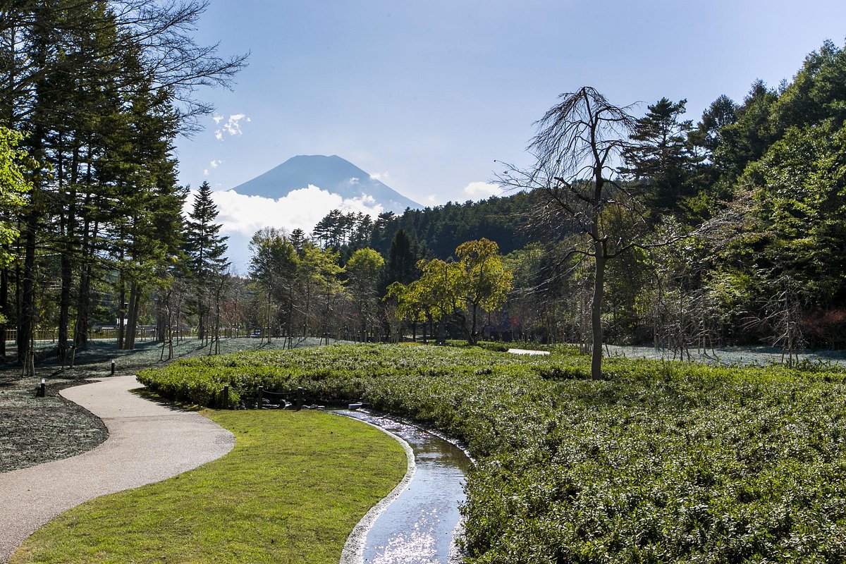 Oshino Shinobi no Sato