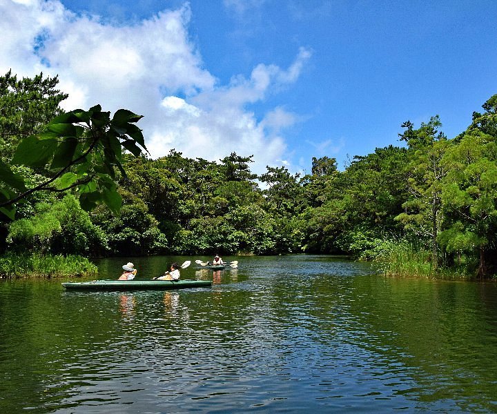 Bios no Oka cover image