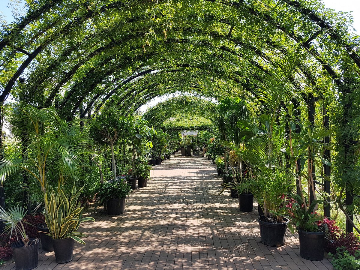 Yokohama English Garden cover image