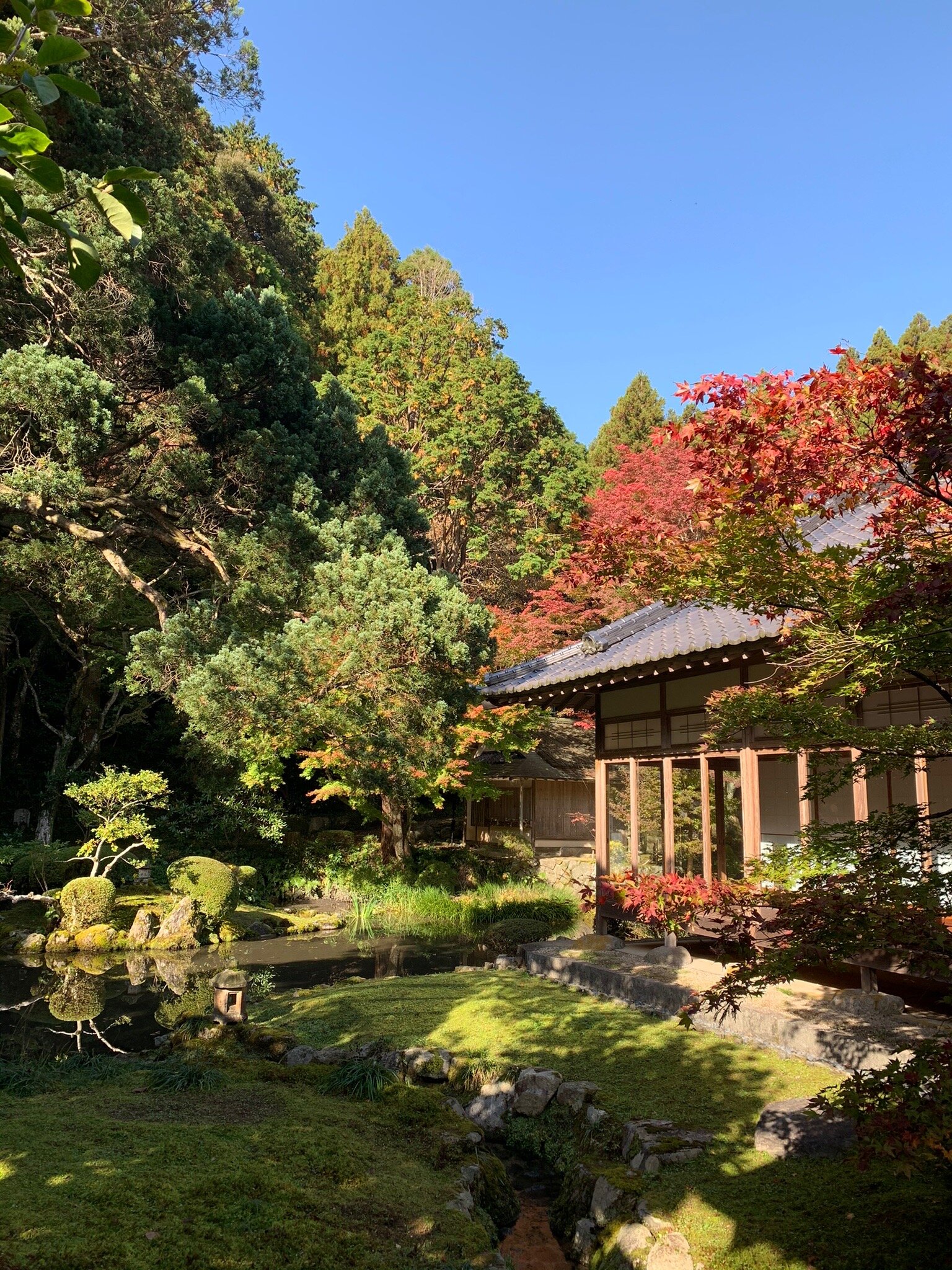 Raizansennyoji Taihioin cover image