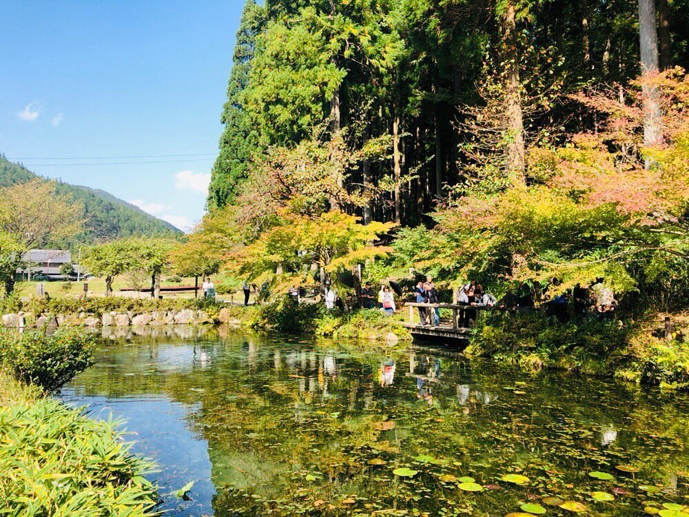 Nemichi Shrine cover image