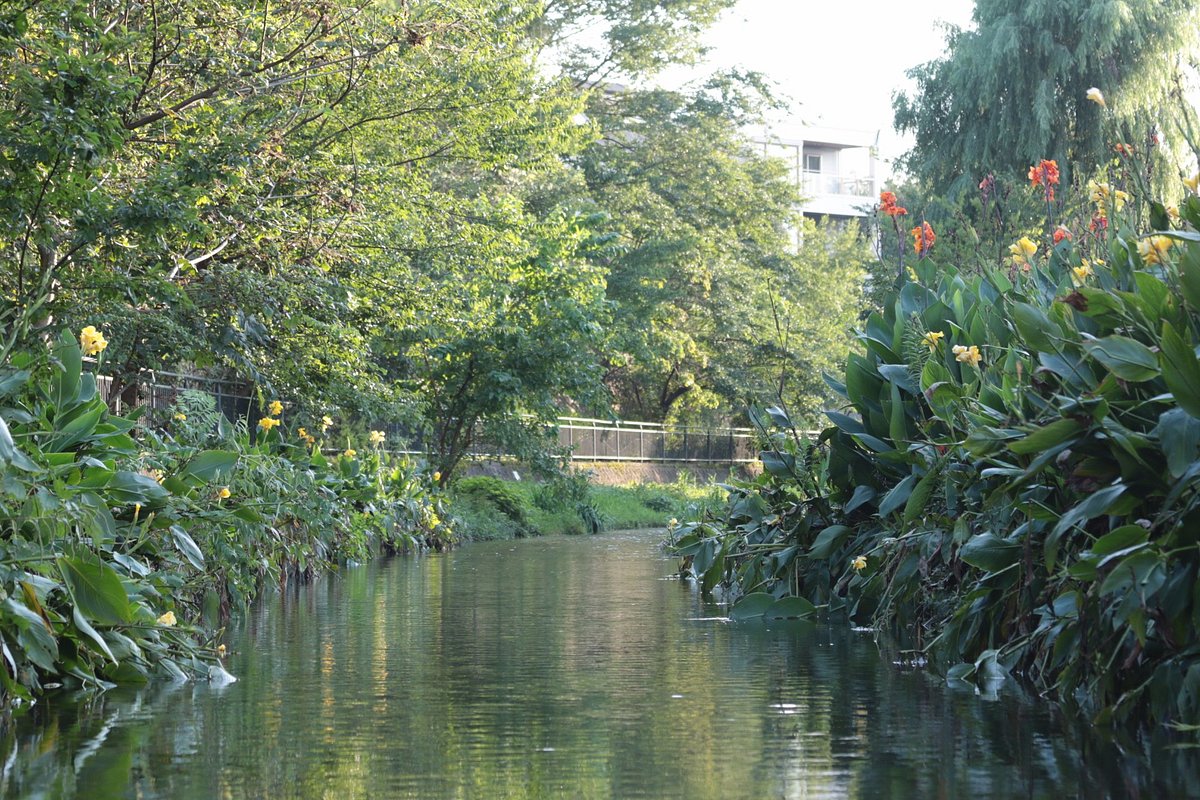 Ochiai River and Minamisawa Springs cover image