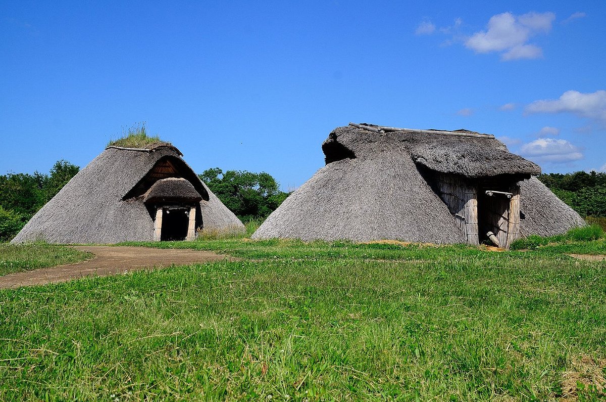 Sannai-Maruyama Site cover image