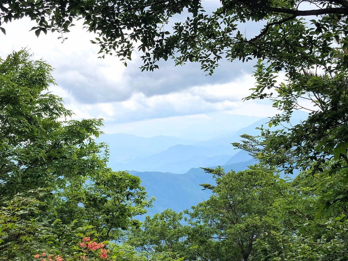 Mt. Mito cover image