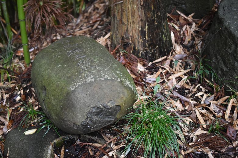 Kashikobuchi Spider Stele