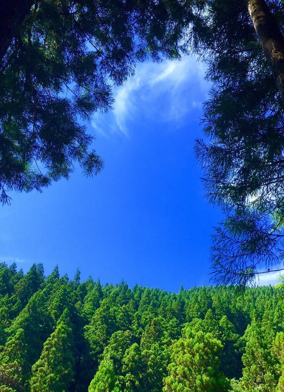 Otaki Limestone Cave cover image