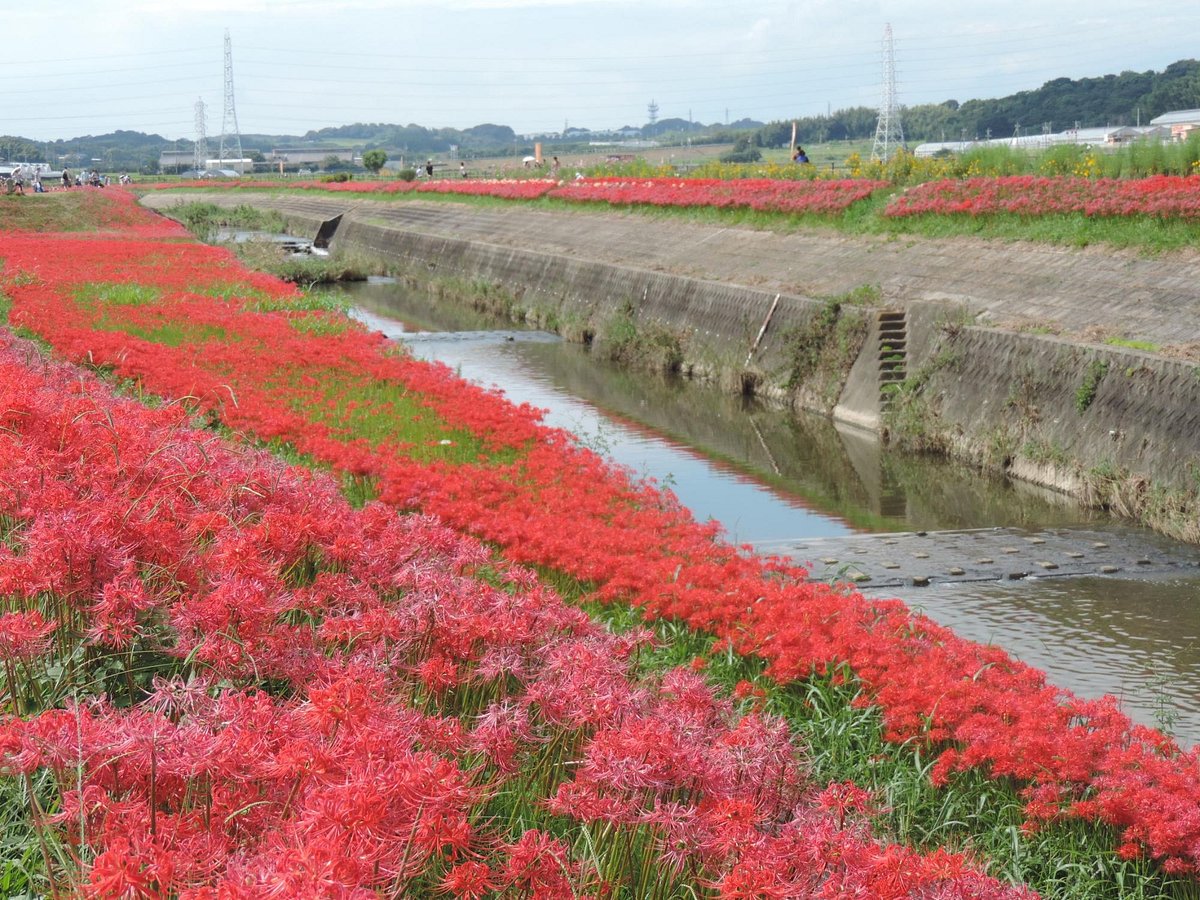 Niimi Nankichi Memorial Museum cover image