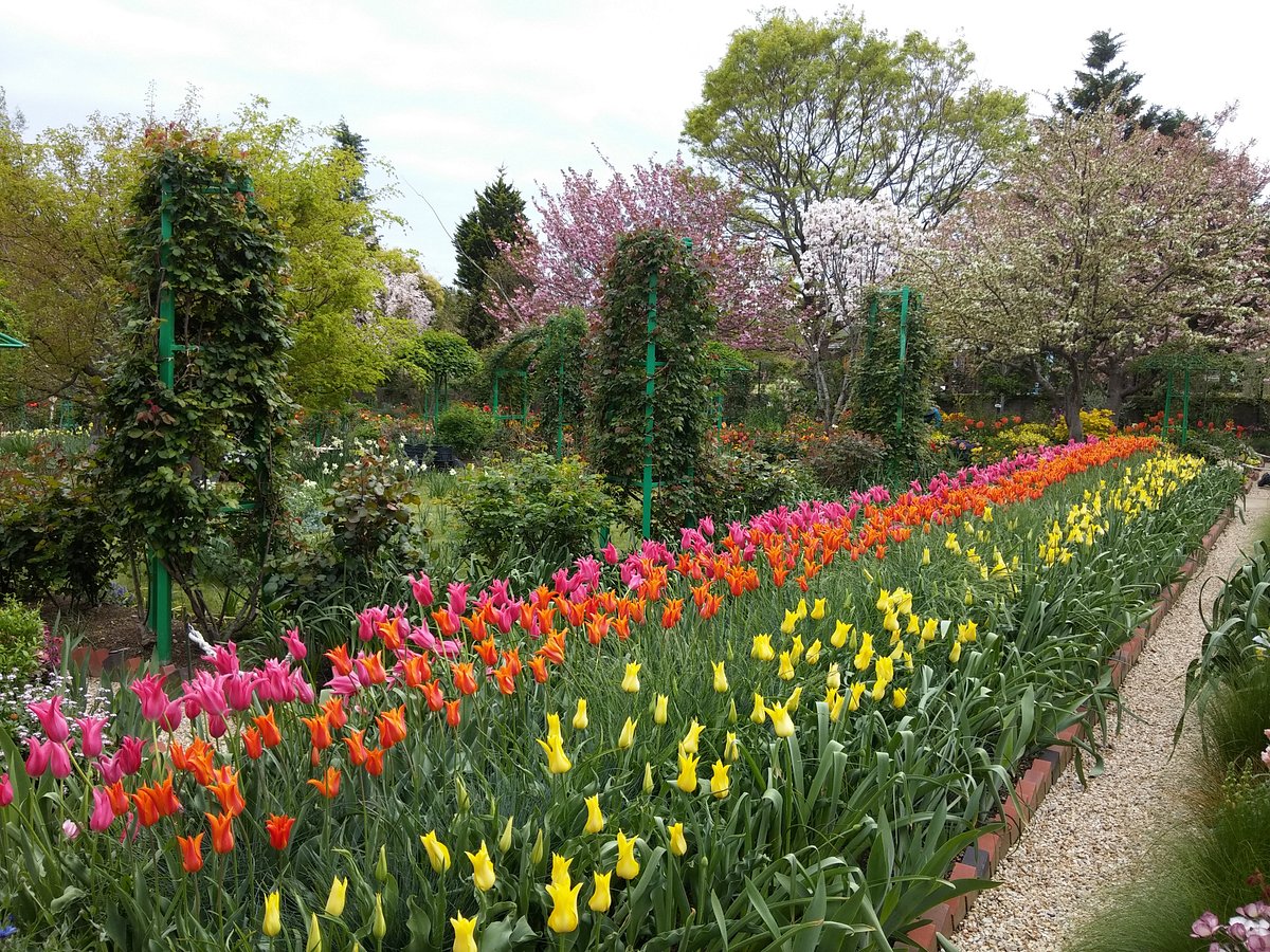 Hamanako Garden Park cover image