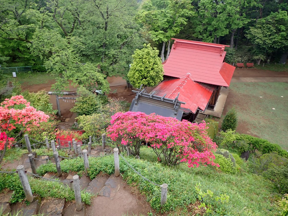 Arahata Fuji cover image