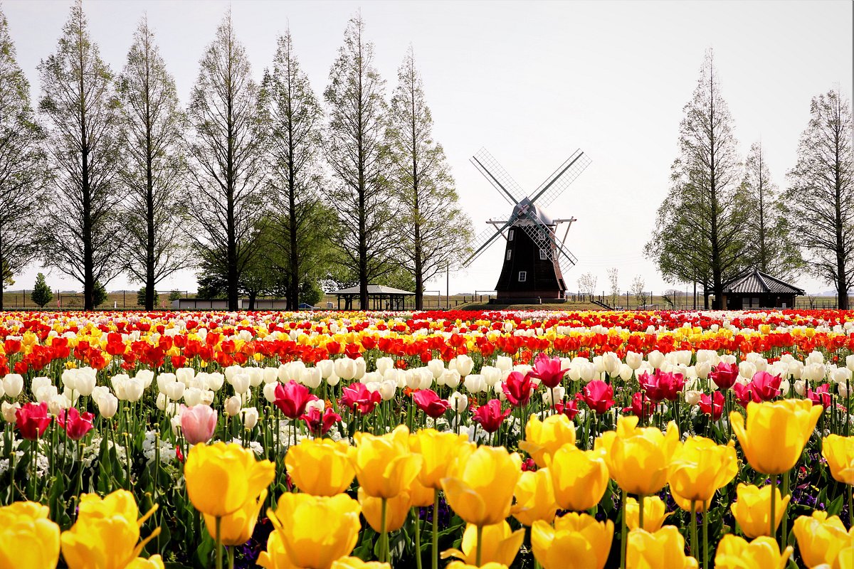Akebonoyama Agricultural Park