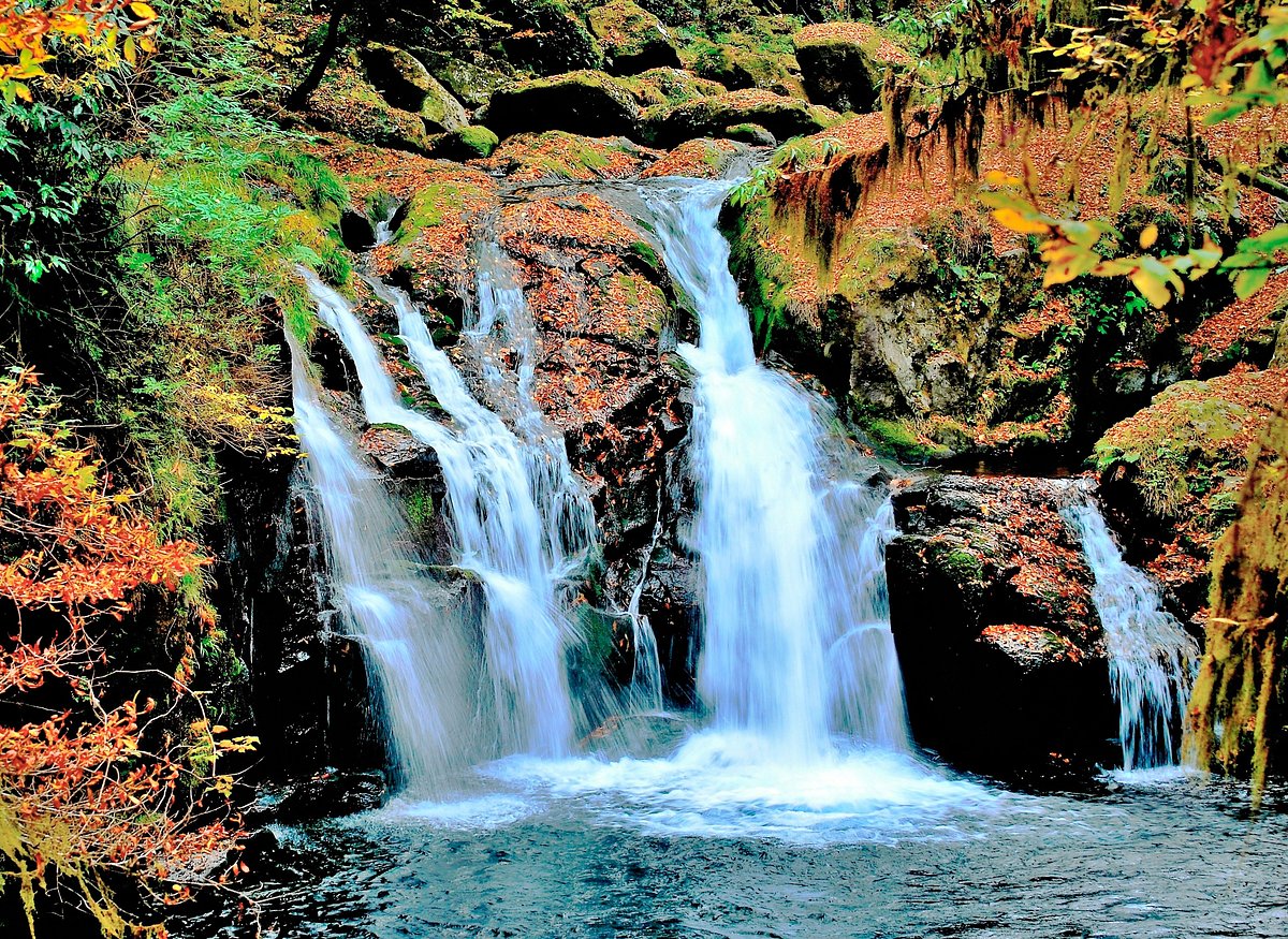 Kikuchi Gorge cover image