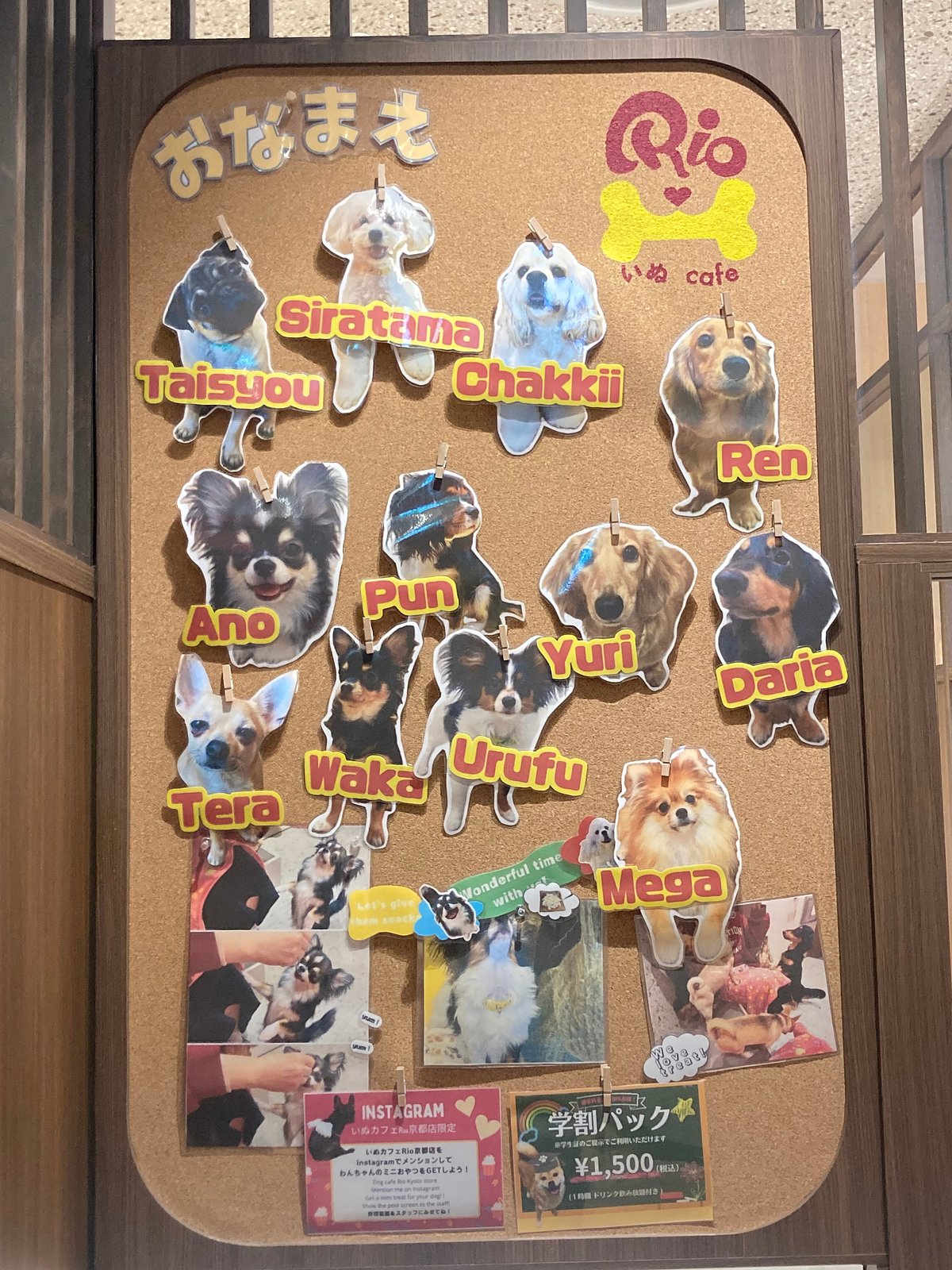 Puppy Cafe Rio Kyoto cover image