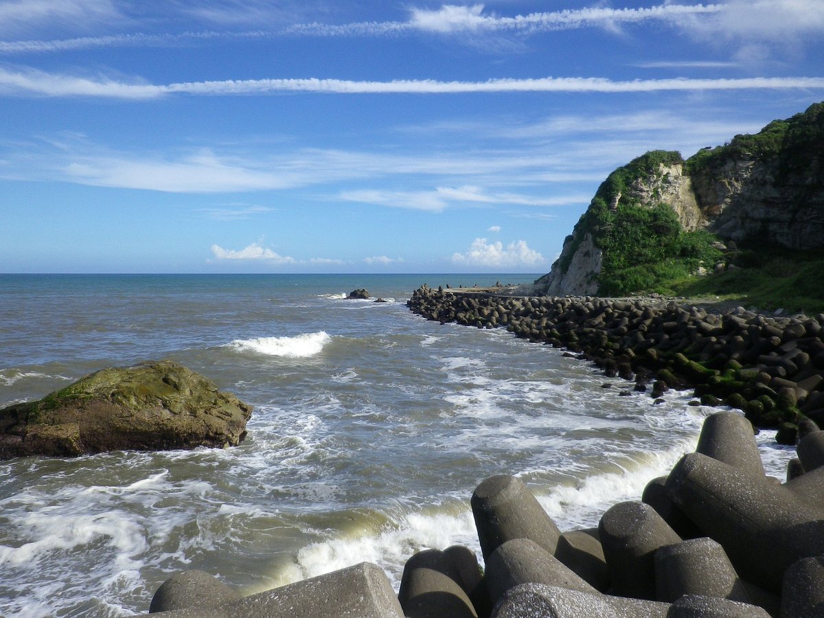 Ohara Port cover image