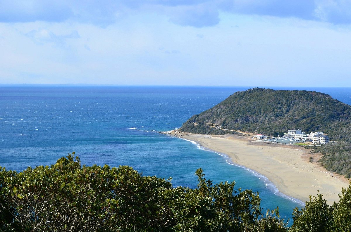 Koijigahama cover image