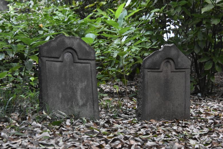 Arima Family Plot