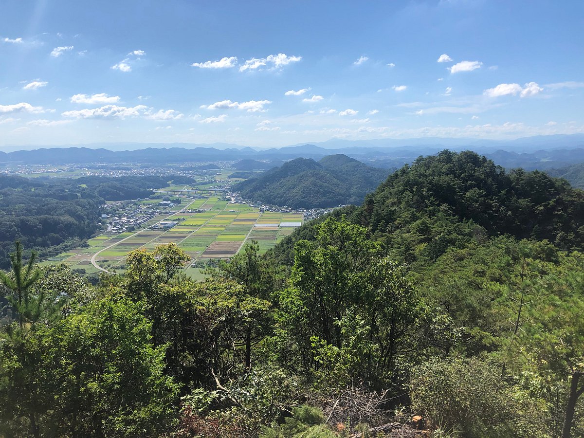 Minokamo Health Forest Park cover image