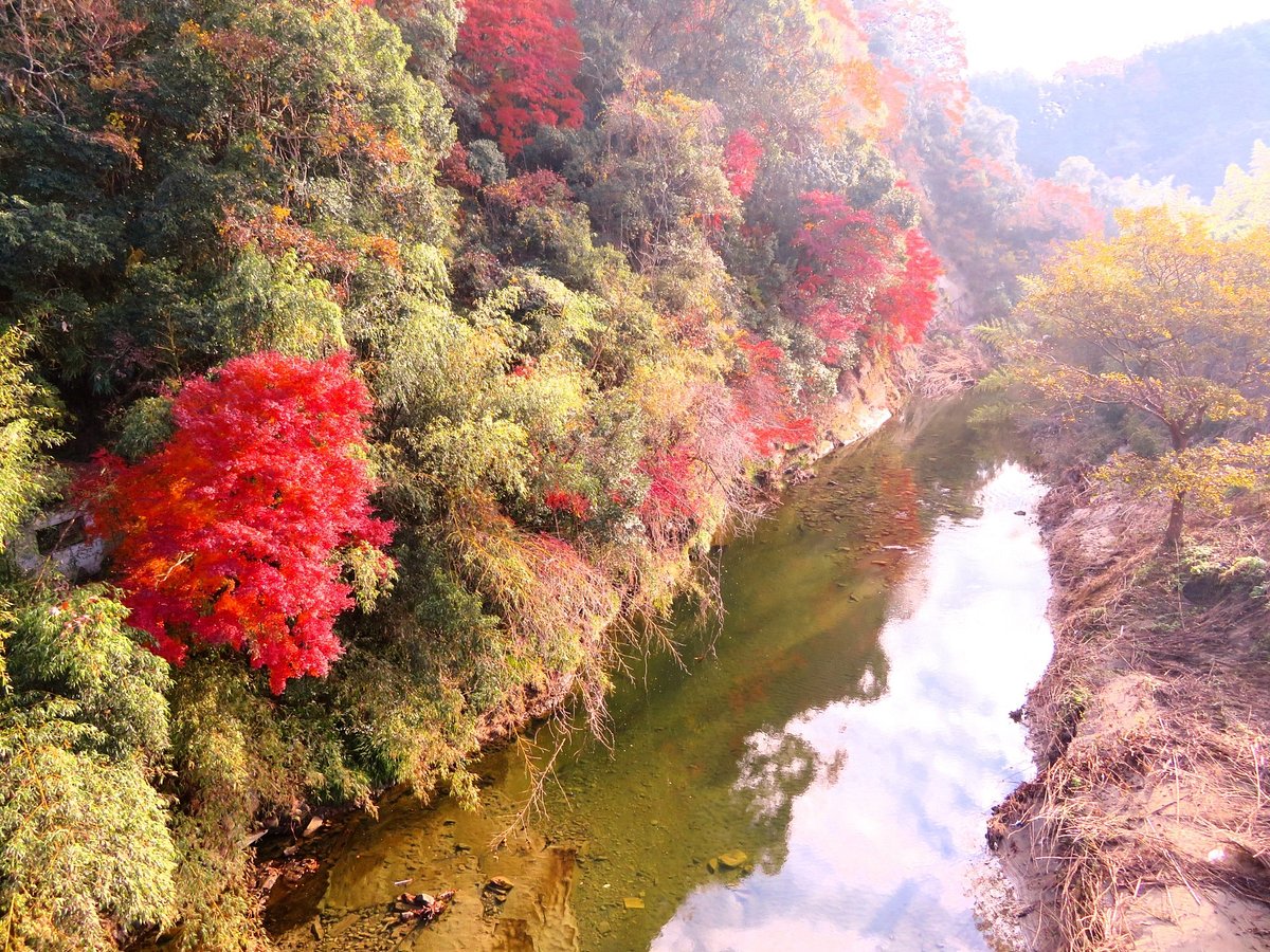 Umegase Valley cover image