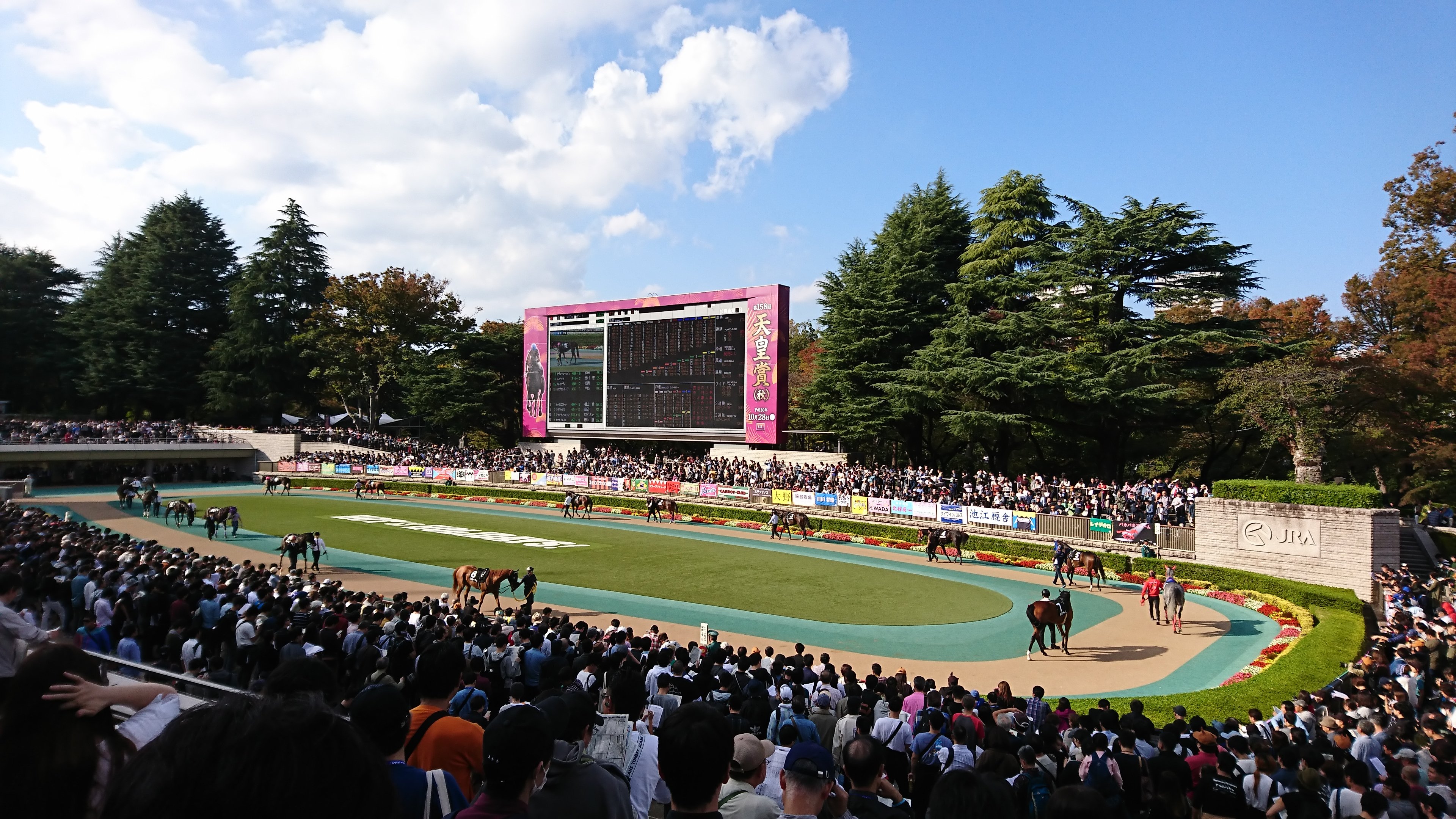 JRA Tokyo Racecourse