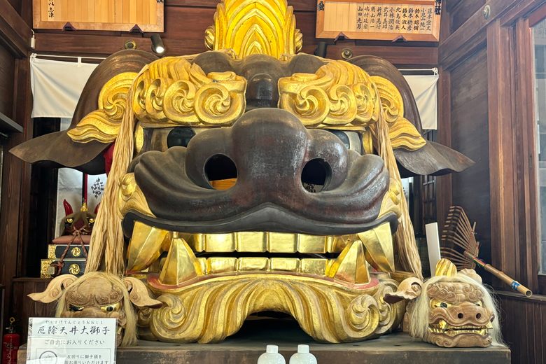 The Lions of Namiyoke Inari Shrine cover image