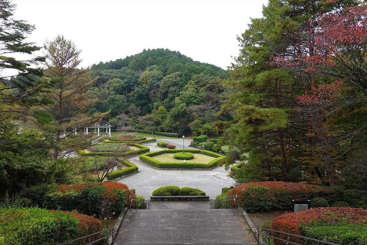 Dainohara Forest Park cover image