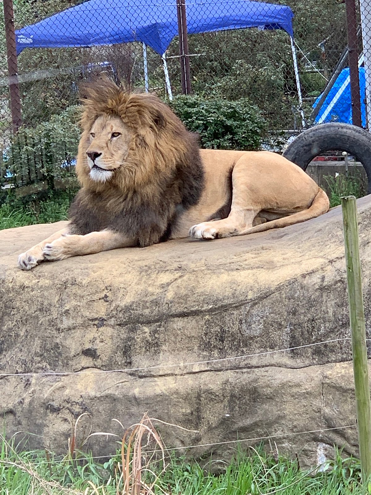 Tokushima Zoo cover image