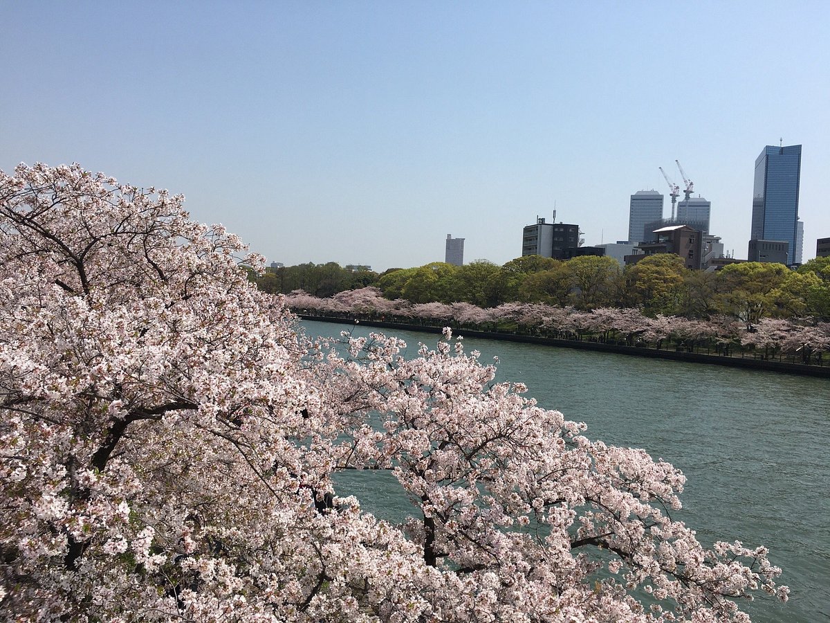 Mint Museum cover image