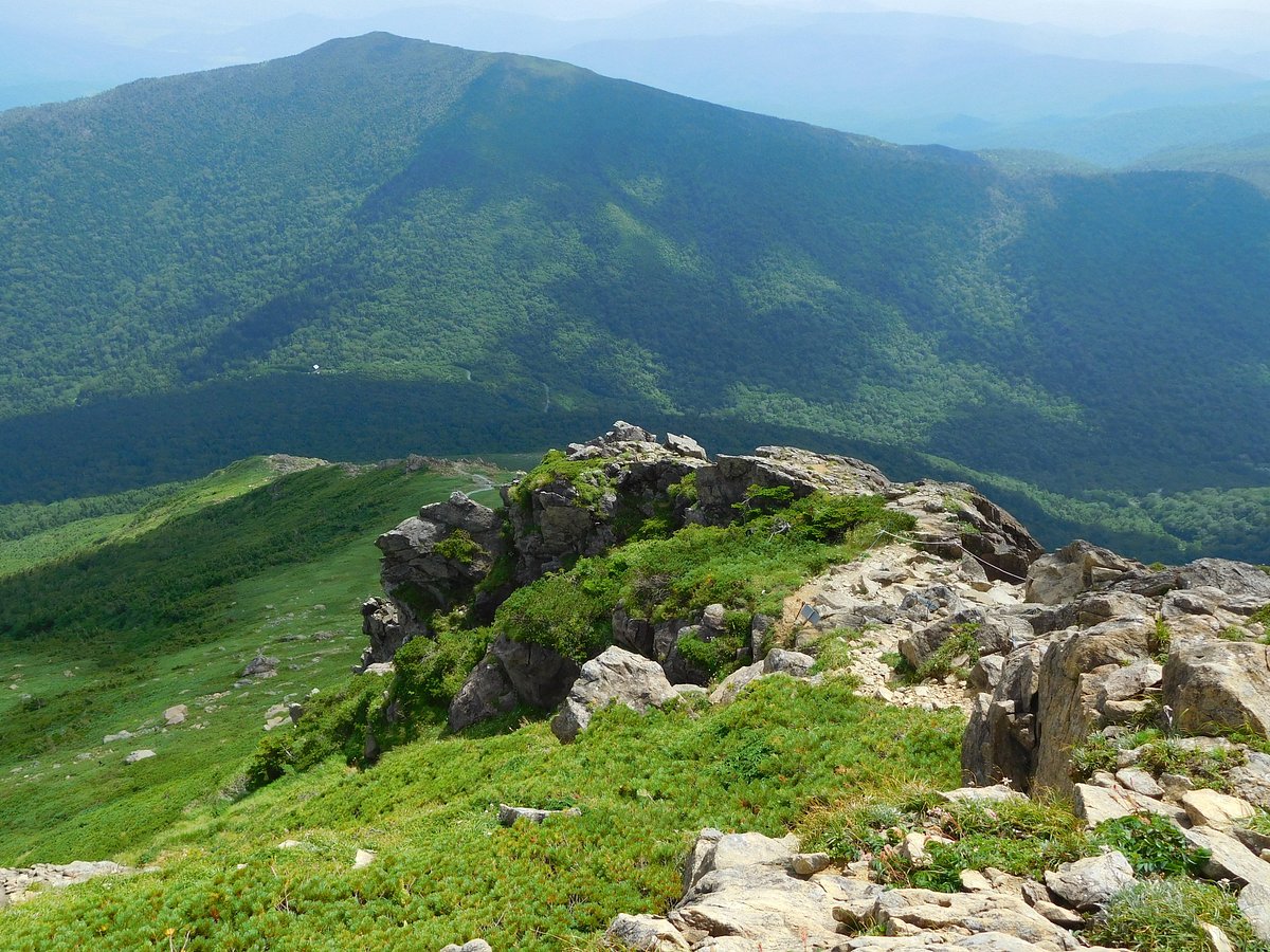 Mt. Hayachine cover image