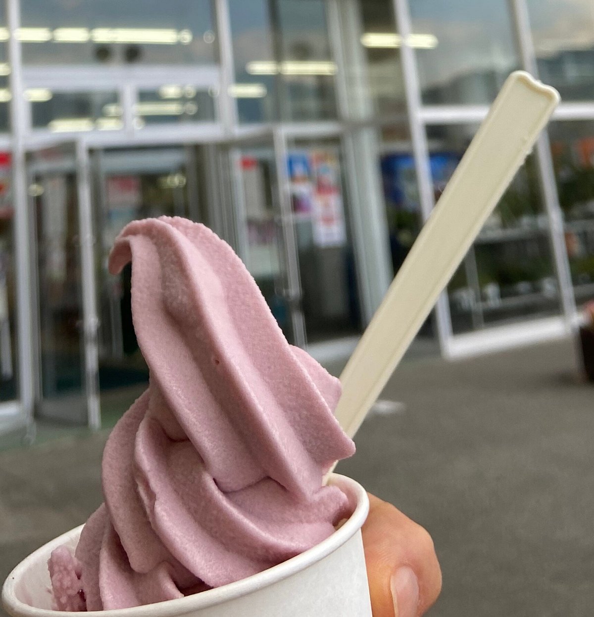 Sato no Eki Ichinomiya