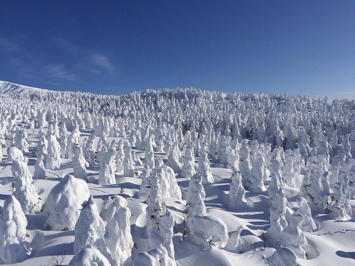 Yamagata Zao Onsen Ski Resort