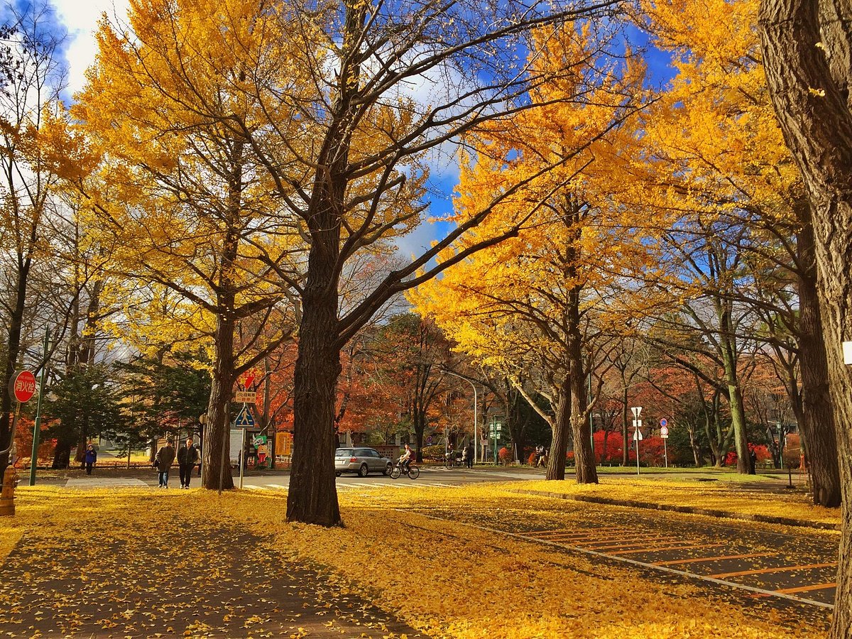 Hokkaido University Sapporo Campus cover image