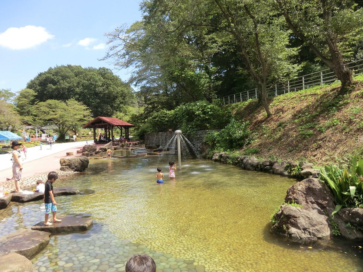 Kodomo-no-Kuni cover image