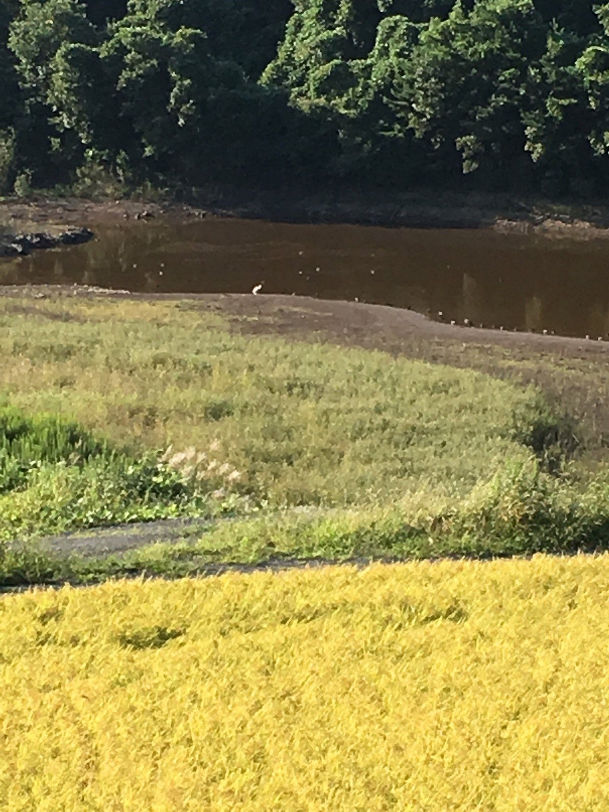 Toki no Mori Park cover image