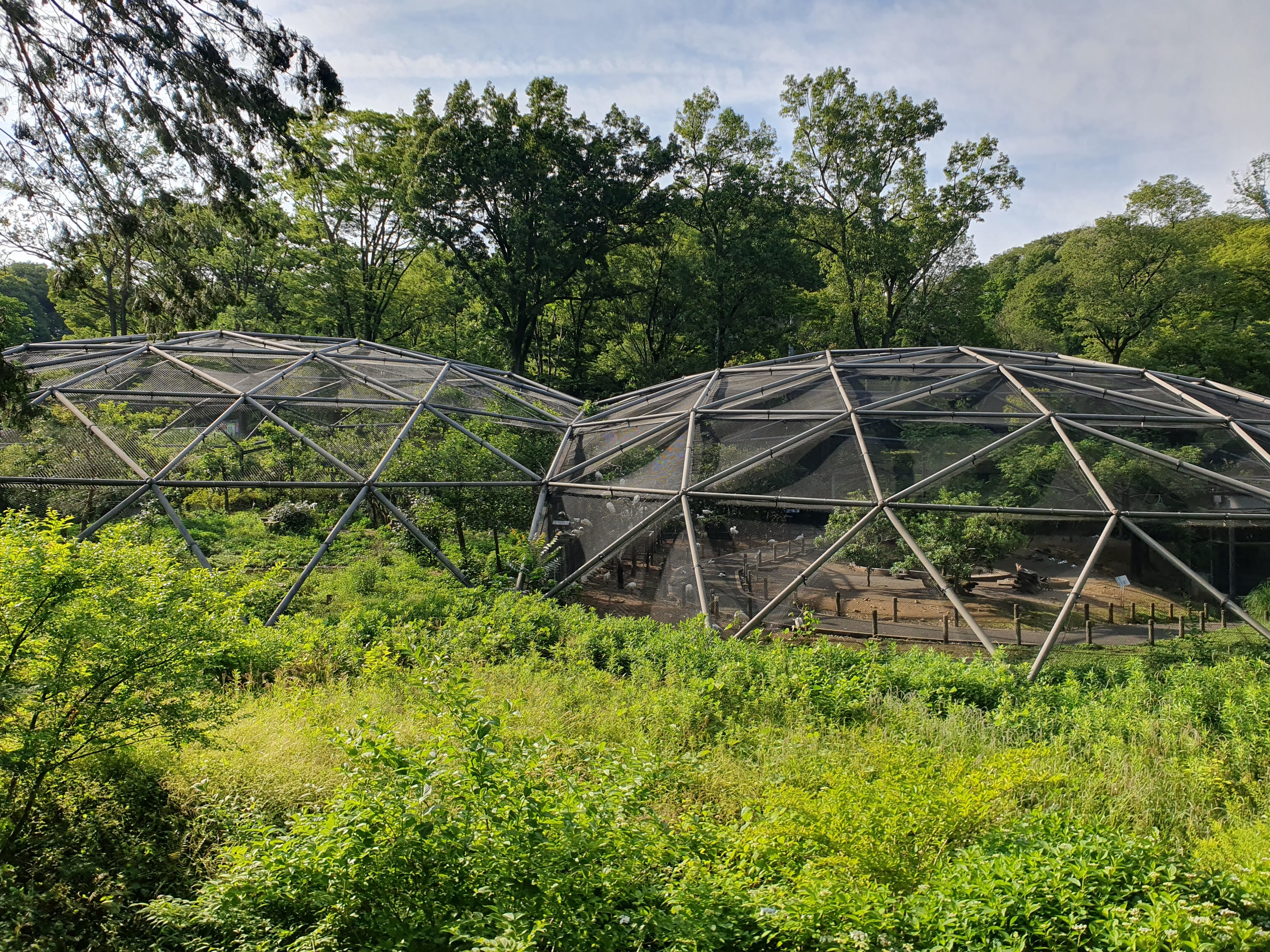 Tama Zoological Park