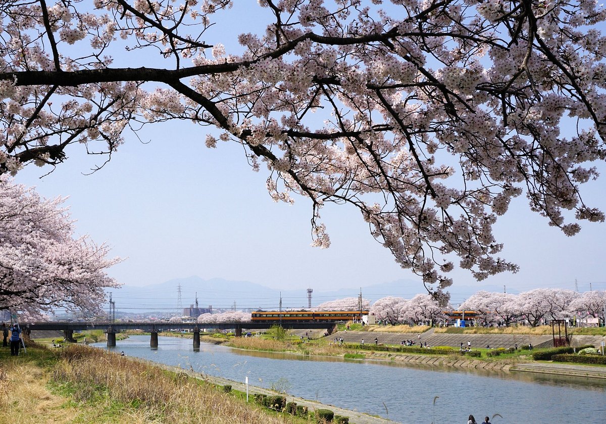 Kaizogawa Riverbank cover image