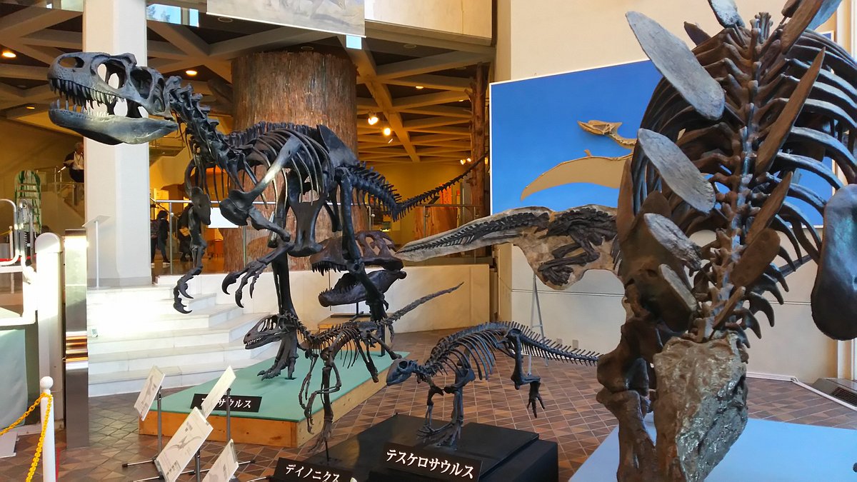 Gifu Prefectural Museum cover image