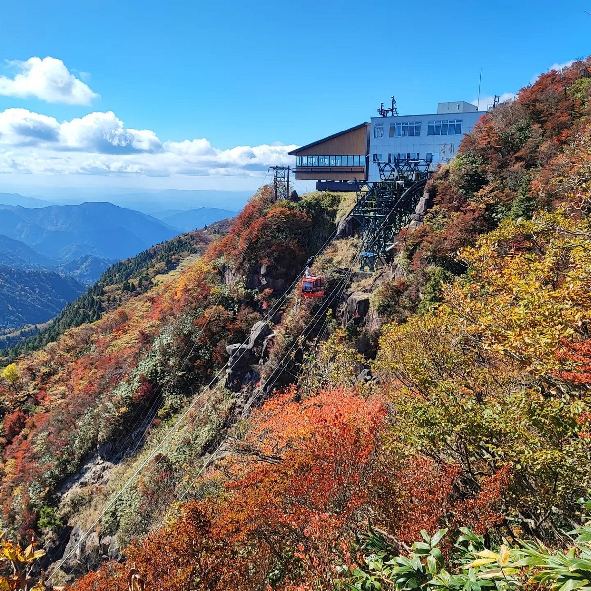 Gozaisho-dake cover image