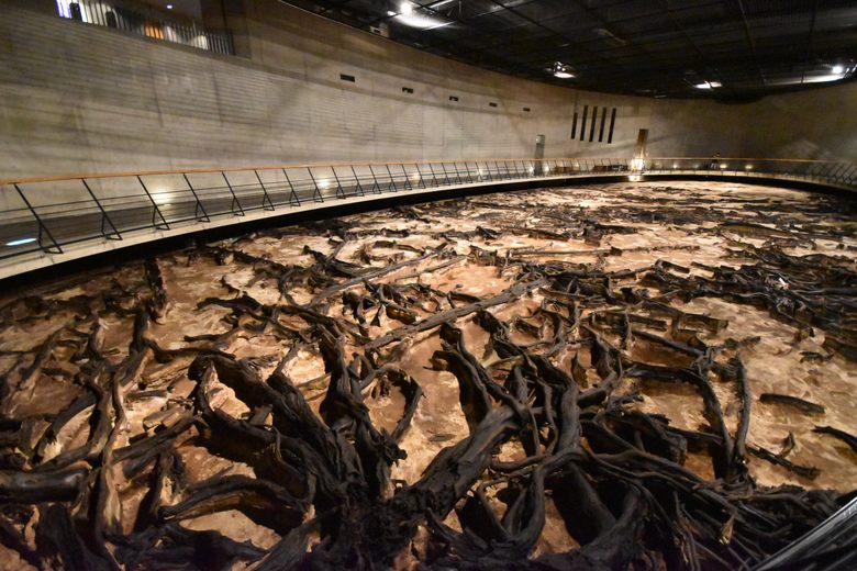 Tomizawa Site (Underground Forest Museum) cover image