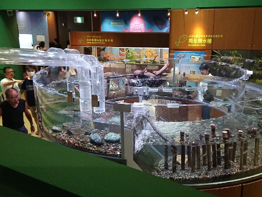 Sagamigawa Fureai Science Museum Aquarium Sagamihara cover image