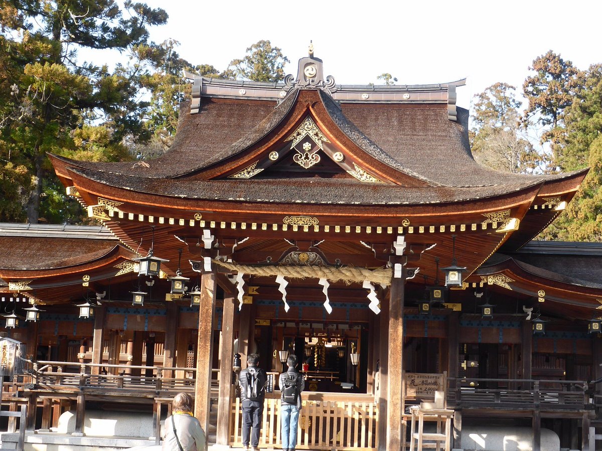 Taga Taisha cover image