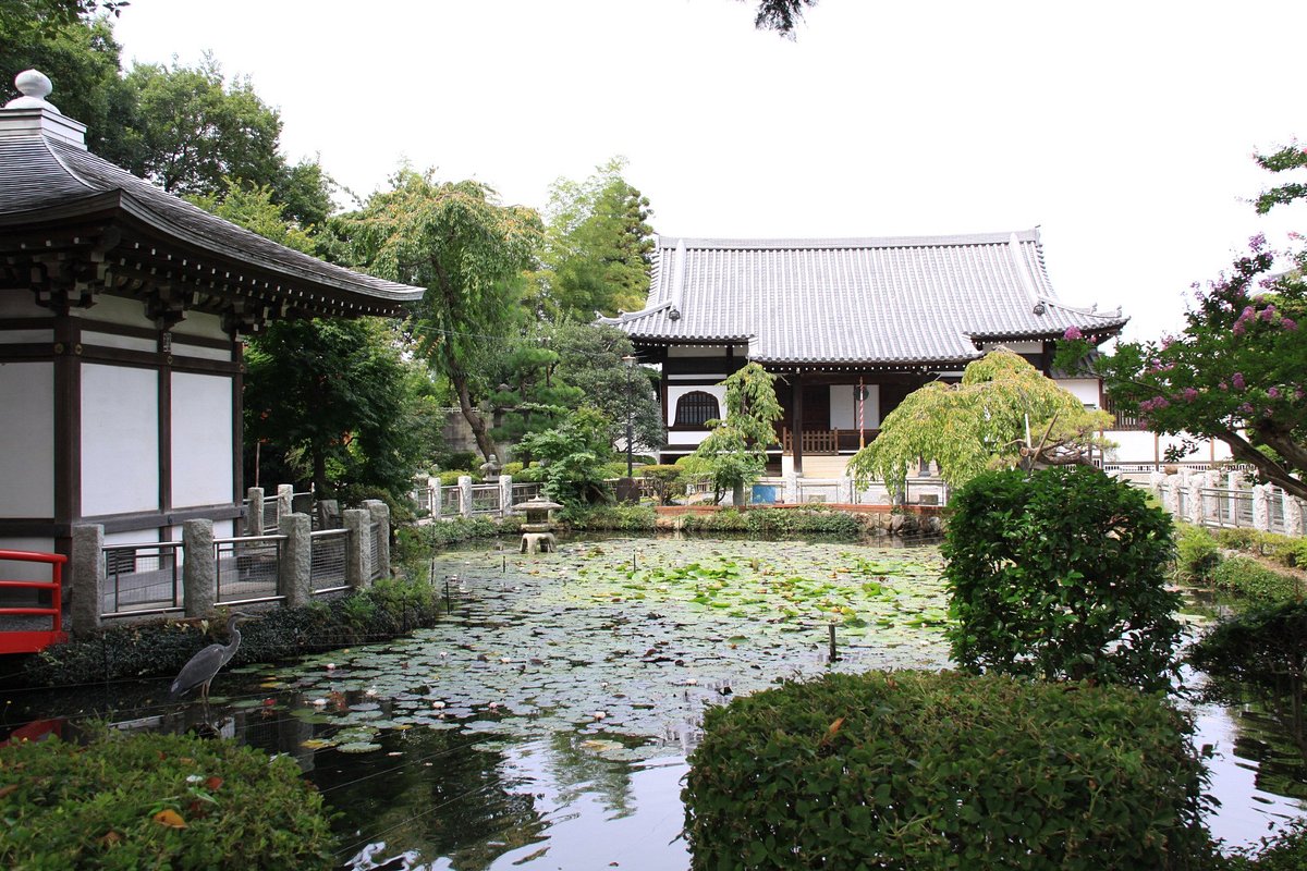 Enshoji Temple (Emadera Temple) cover image