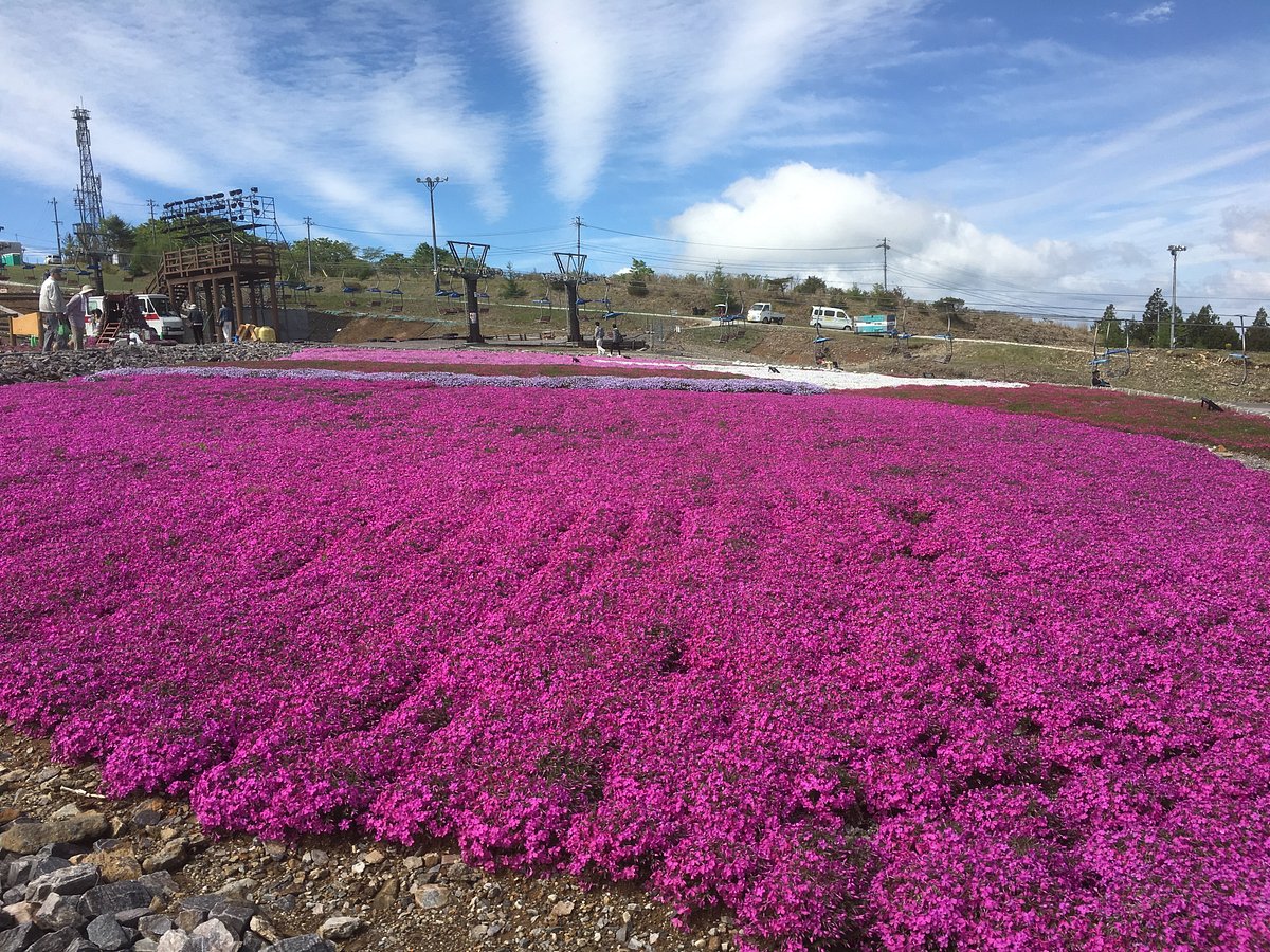 Chausuyama Plateau cover image