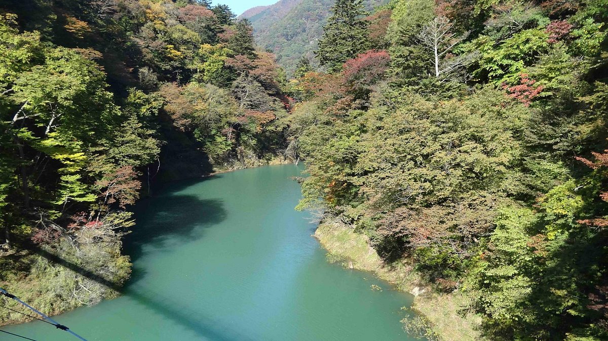 Mikaeri Suspension Bridge cover image