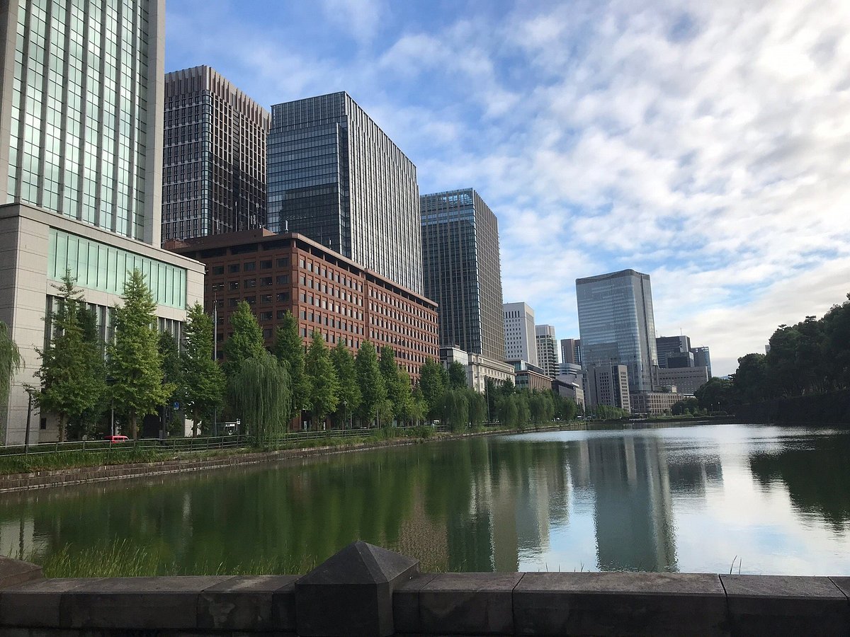 Tama River cover image