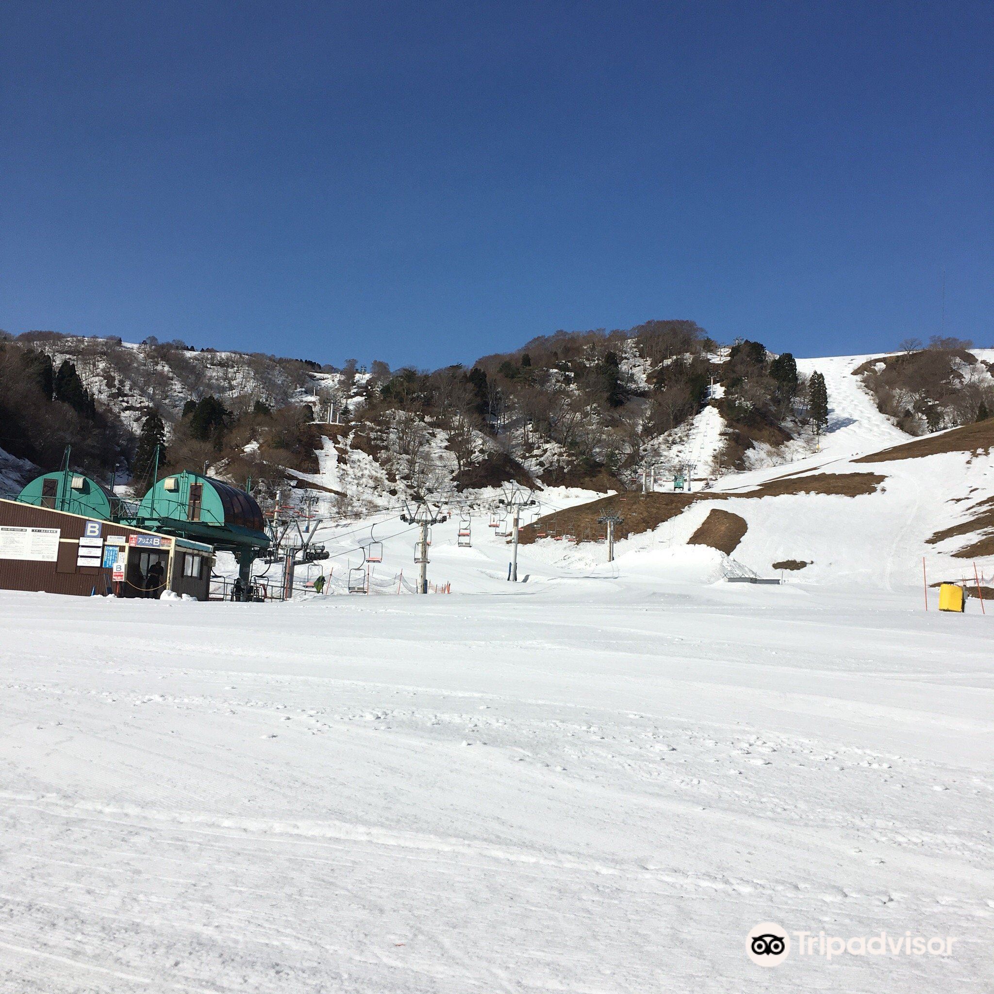 Yogo Kōgen Resort Yap cover image