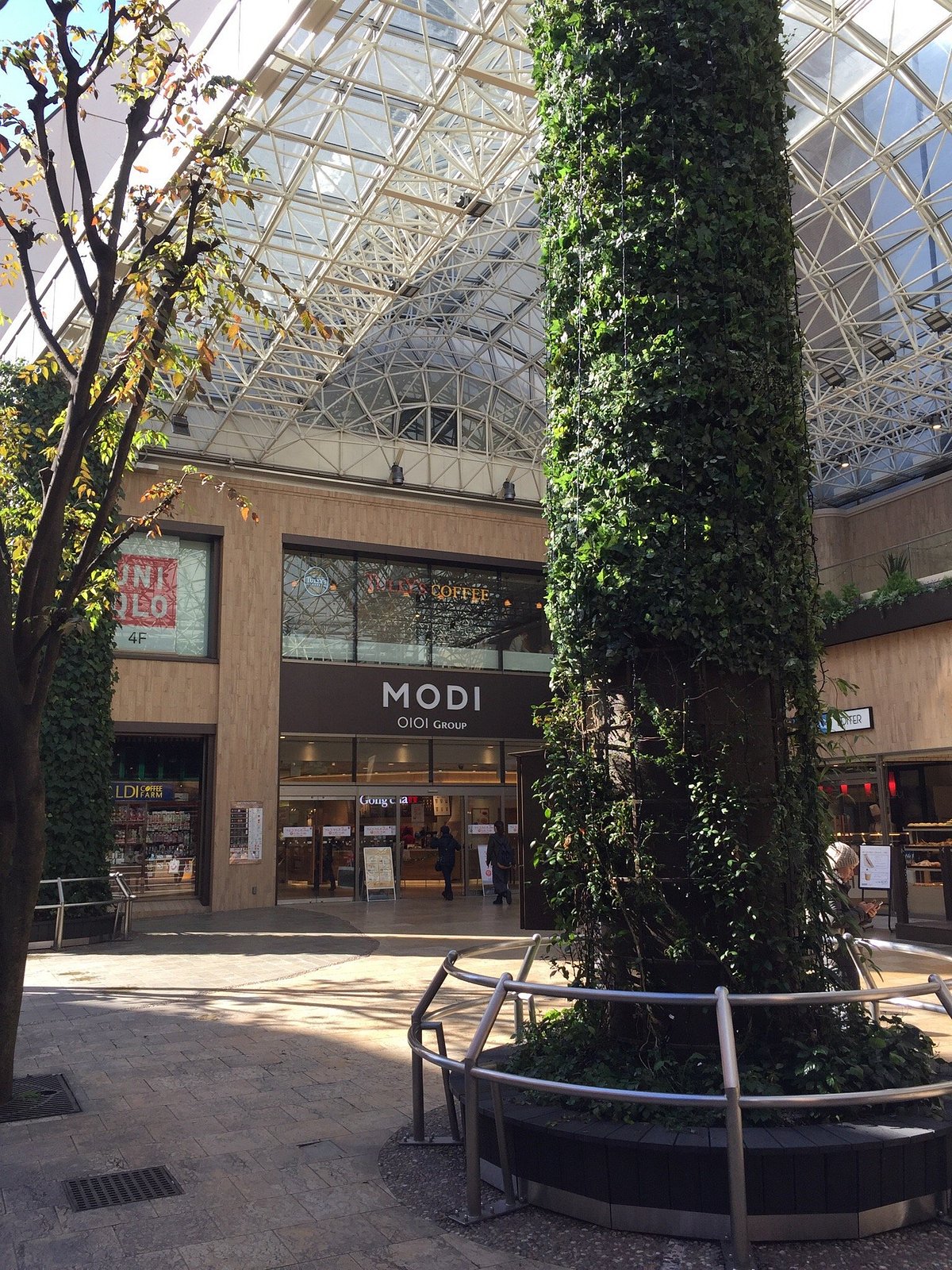 Kashiwa Mody cover image