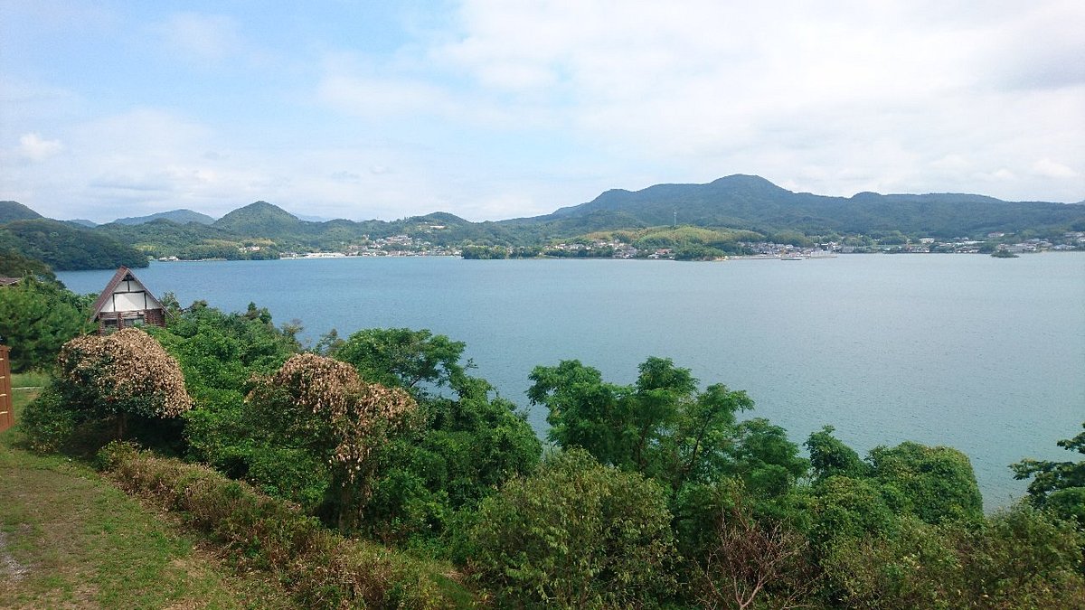 Omura Bay cover image