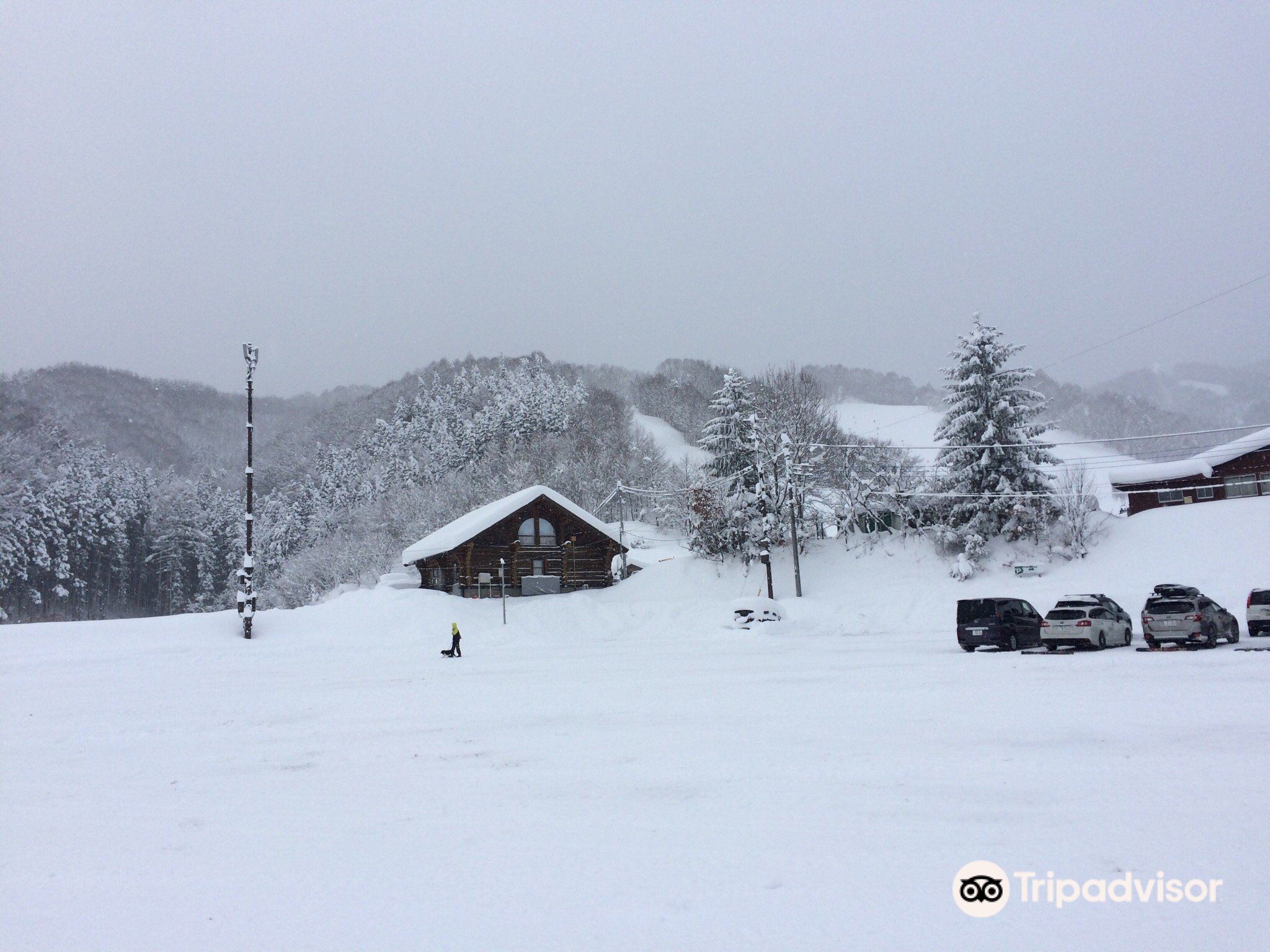 Katashina Kogen Ski Resort cover image
